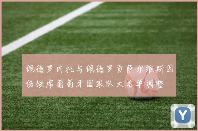 佩德罗内托与佩德罗贡萨尔维斯因伤缺席葡萄牙国家队大名单调整