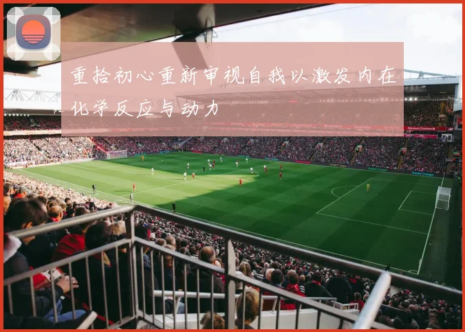 重拾初心重新审视自我以激发内在化学反应与动力