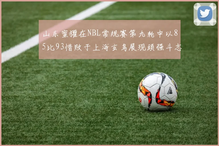 山东蜜獾在NBL常规赛第九轮中以85比93惜败于上海玄鸟展现顽强斗志